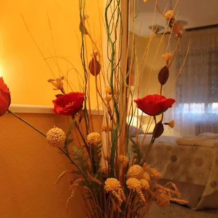 La Olmedana * Olmedo