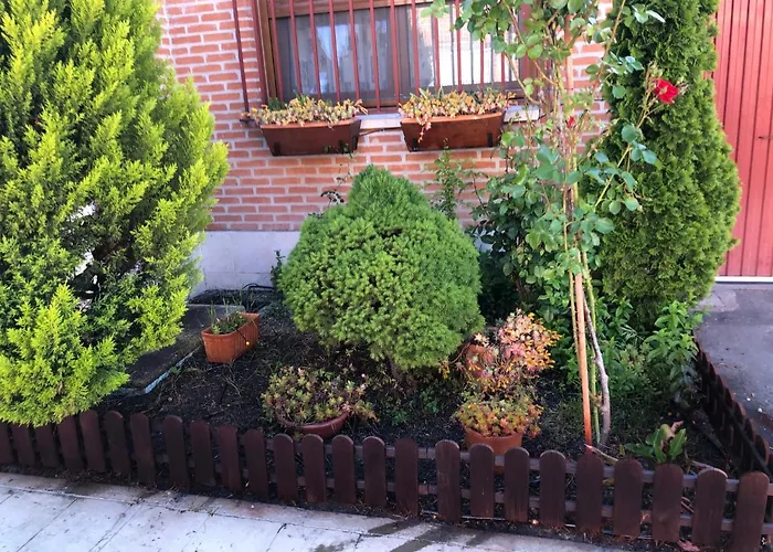 펜션 La Olmedana 올메도